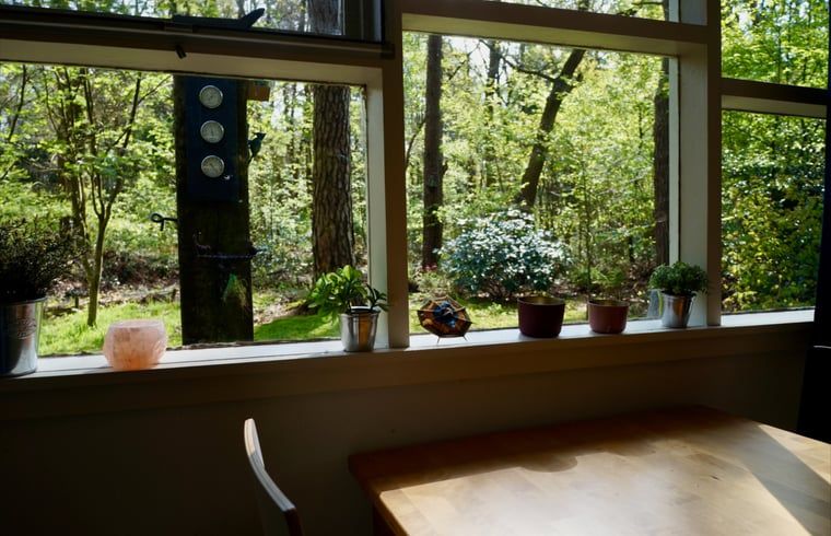 Unterkunft 180916 - Ferienhaus Noord Drenthe - Huisje in Norg