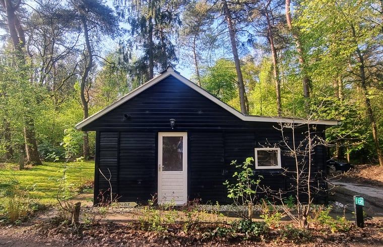 Unterkunft 180916 - Ferienhaus Noord Drenthe - Huisje in Norg