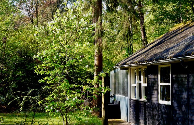 Unterkunft 180916 - Ferienhaus Noord Drenthe - Huisje in Norg