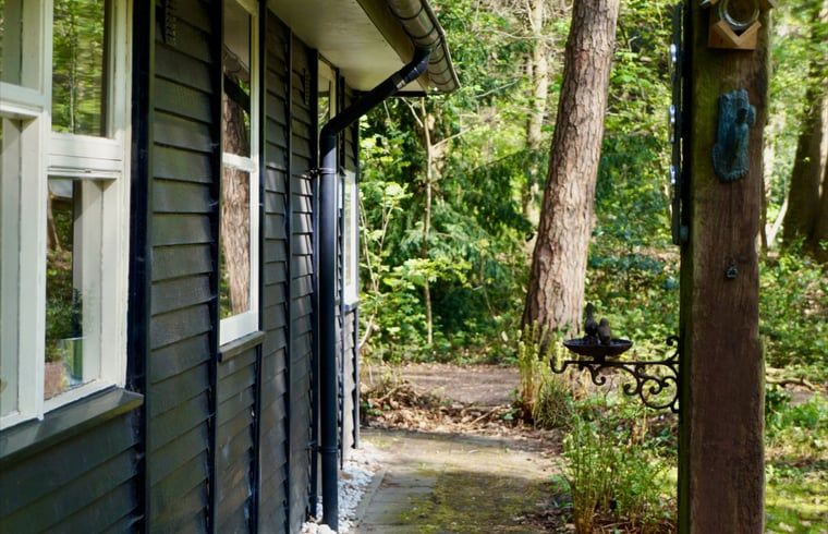 Unterkunft 180916 - Ferienhaus Noord Drenthe - Huisje in Norg