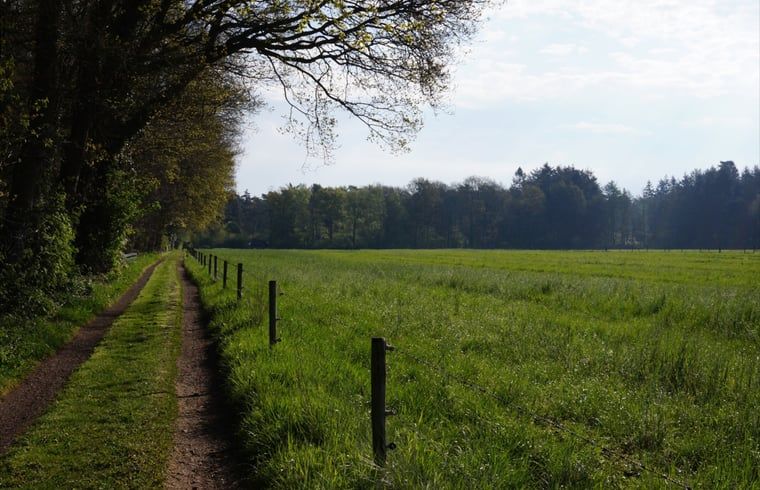 Unterkunft 180916 - Ferienhaus Noord Drenthe - Huisje in Norg