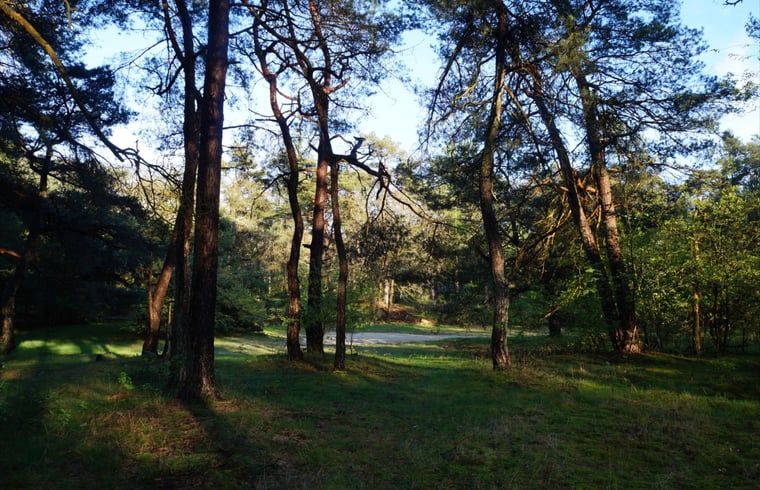 Unterkunft 180916 - Ferienhaus Noord Drenthe - Huisje in Norg