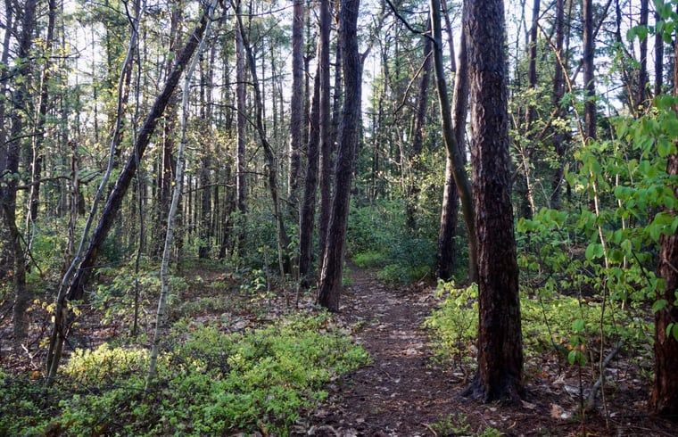 Unterkunft 180916 - Ferienhaus Noord Drenthe - Huisje in Norg