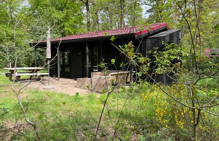 Huisje in Norg, vakantiehuis in Noord Drenthe, omgeven door groene natuur met terras en picknicktafel, perfect voor ontspanning.
