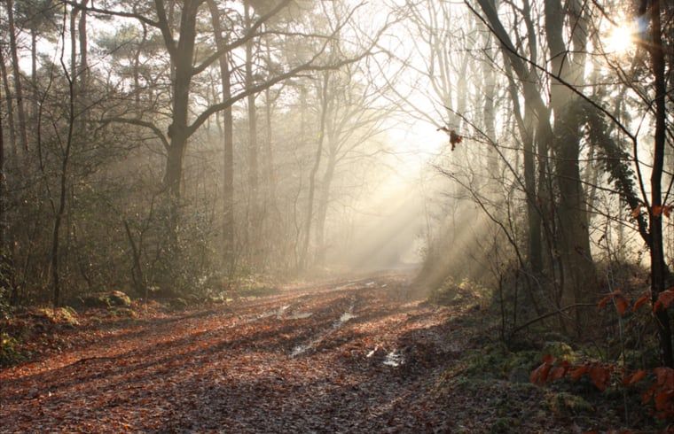 Verblijf 180918 - Vakantiewoning Noord Drenthe - Huisje in Norg