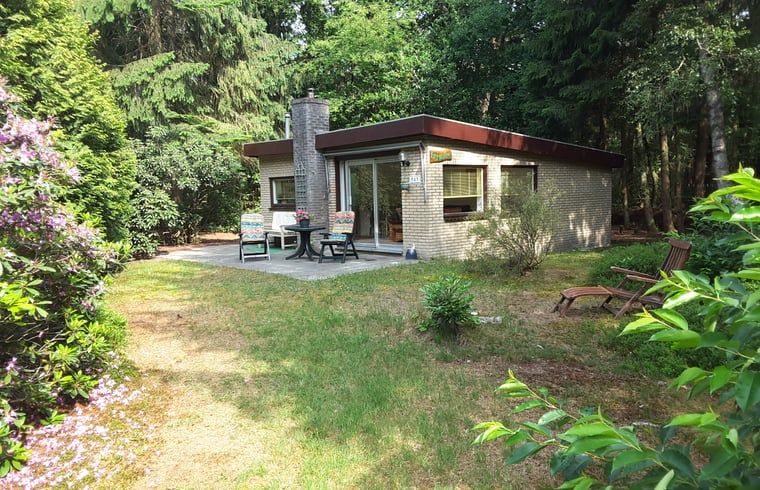 Ferienhaus in Norg, Nord-Drenthe, umgeben von viel Gruen mit einer gemuetlichen Terrasse fuer Entspannung in der Natur von Drenthe.