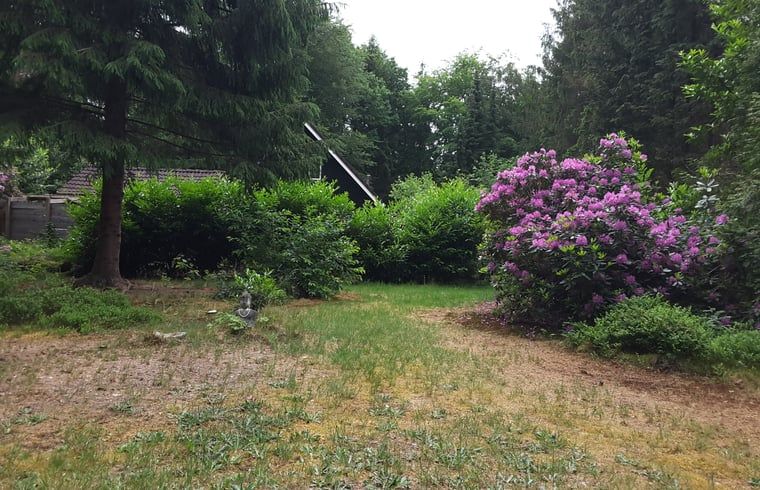 Unterkunft 180931 - Ferienhaus Noord Drenthe - Vakantiehuisje in Norg