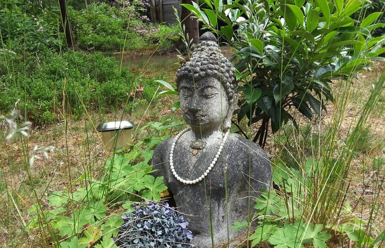 Unterkunft 180931 - Ferienhaus Noord Drenthe - Vakantiehuisje in Norg