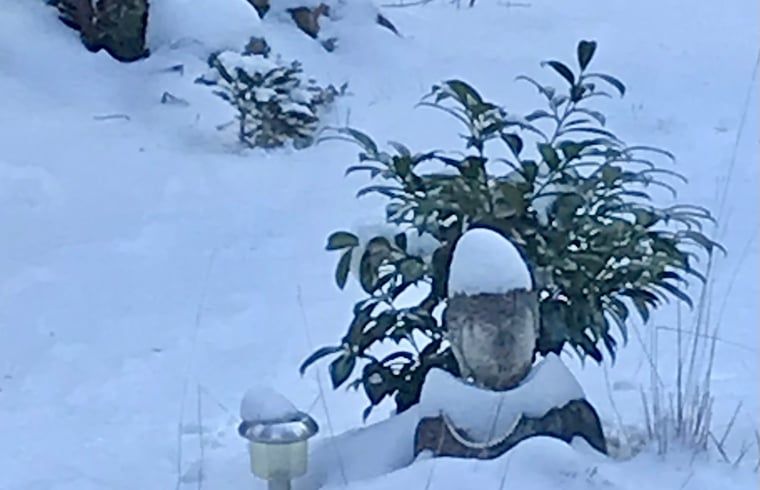 Unterkunft 180931 - Ferienhaus Noord Drenthe - Vakantiehuisje in Norg
