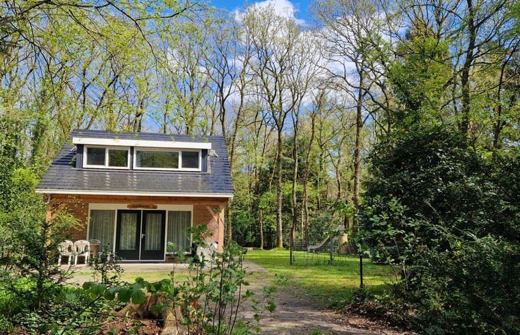 Ferienhaus in Norg, Nord-Drenthe, umgeben von gruener Natur und rustikalen Waeldern, ideal fuer einen entspannten Aufenthalt in Drenthe.