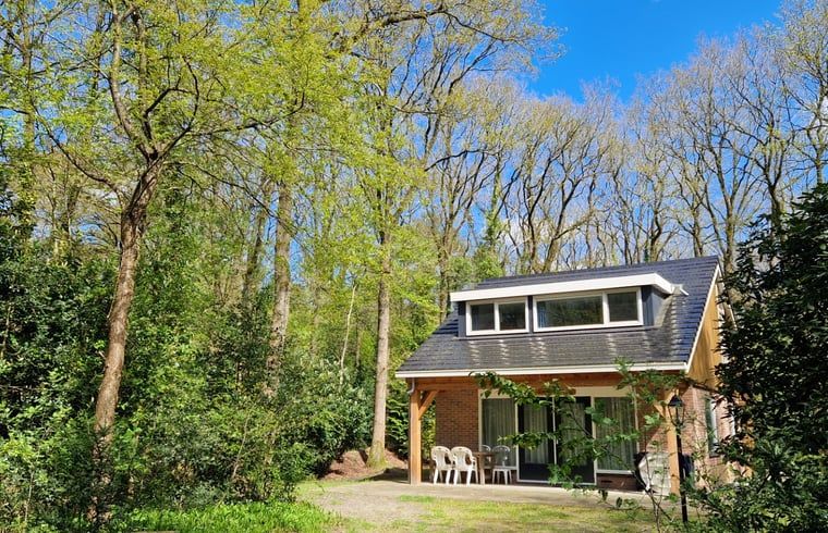 Ferienhaus in Norg, Nord-Drenthe, umgeben von Natur, ideal fuer Entspannung in den Waeldern von Drenthe.