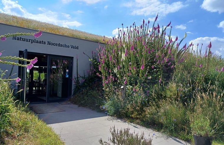 Unterkunft 180944 - Ferienhaus Noord Drenthe - Vakantiehuis in Norg