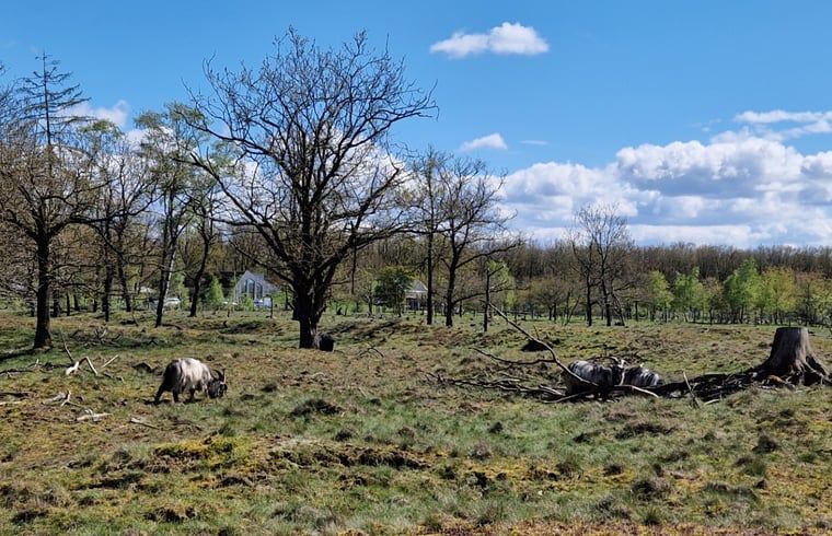 Unterkunft 180944 - Ferienhaus Noord Drenthe - Vakantiehuis in Norg