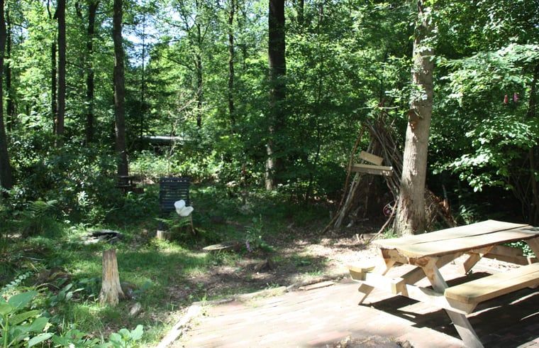Geniessen Sie die ruhige, waldreiche Umgebung des Ferienhauses in Norg, Nord-Drenthe, mit einer rustikalen Terrasse und einem Picknicktisch.