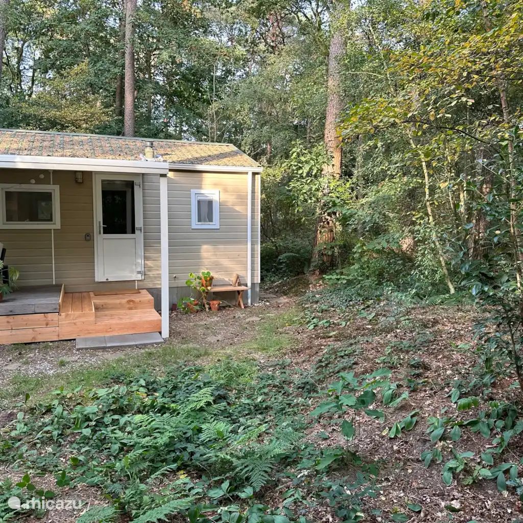 Unterkunft 180993 - Chalet Noord Drenthe - Boshuisje