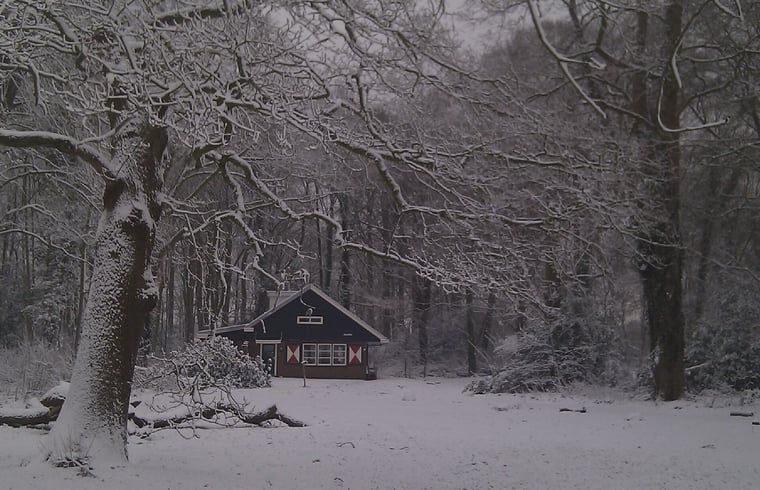 Unterkunft 181003 - Ferienhaus Noord Drenthe - Vakantiehuisje in Midlaren