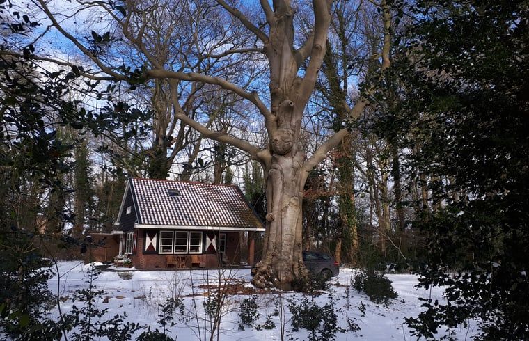 Unterkunft 181003 - Ferienhaus Noord Drenthe - Vakantiehuisje in Midlaren