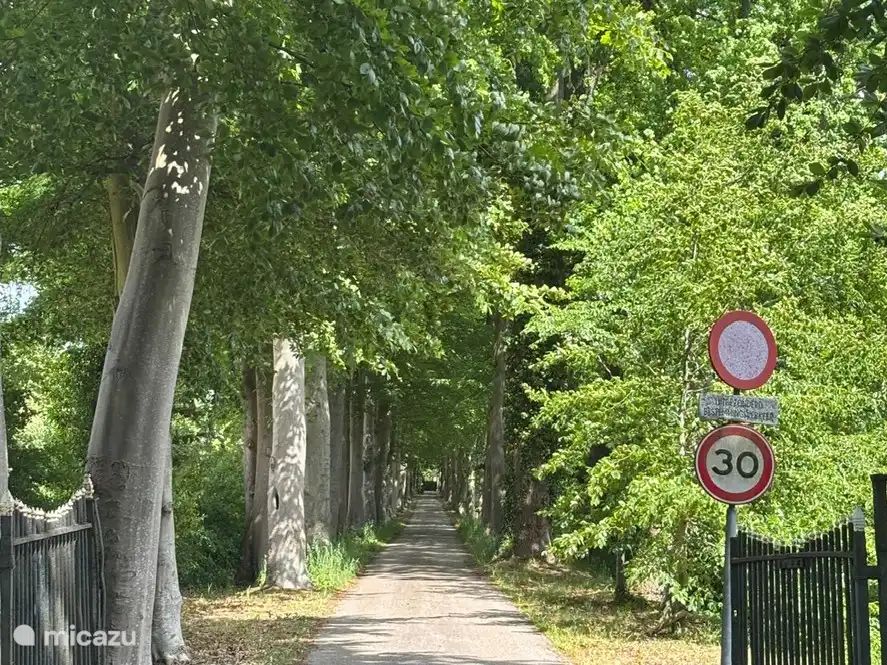 Unterkunft 181010 - Ferienhaus Noord Drenthe - Ayres