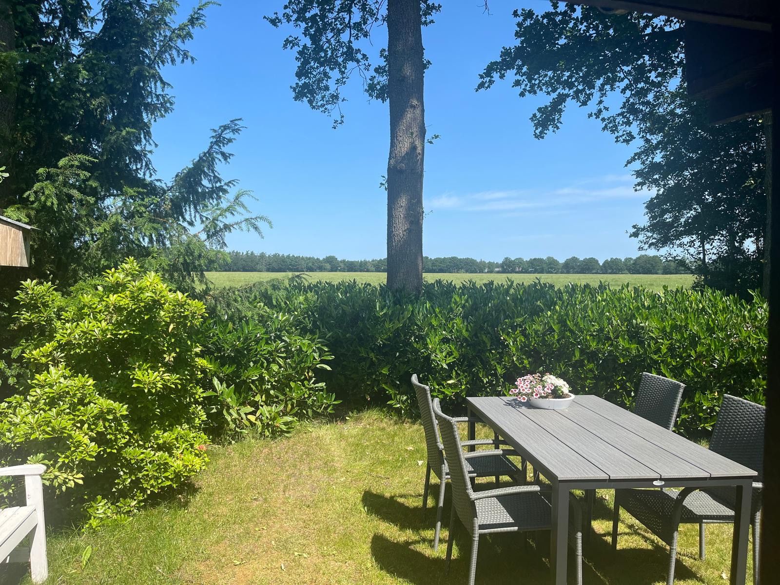 Zonnig terras bij DG1879, Borger, Noord Drenthe met uitzicht op landelijk landschap.