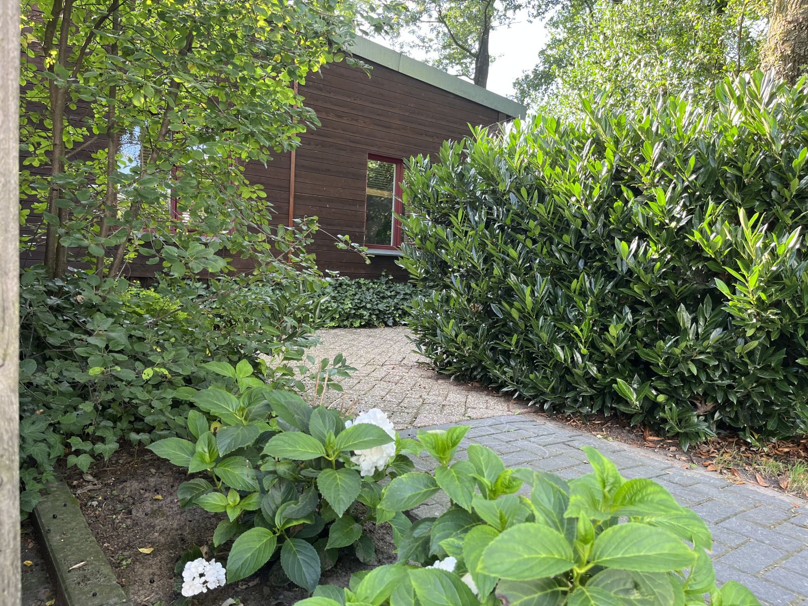 Groene tuin bij vakantiehuis DG1879, Borger, Noord Drenthe met bloeiende planten.