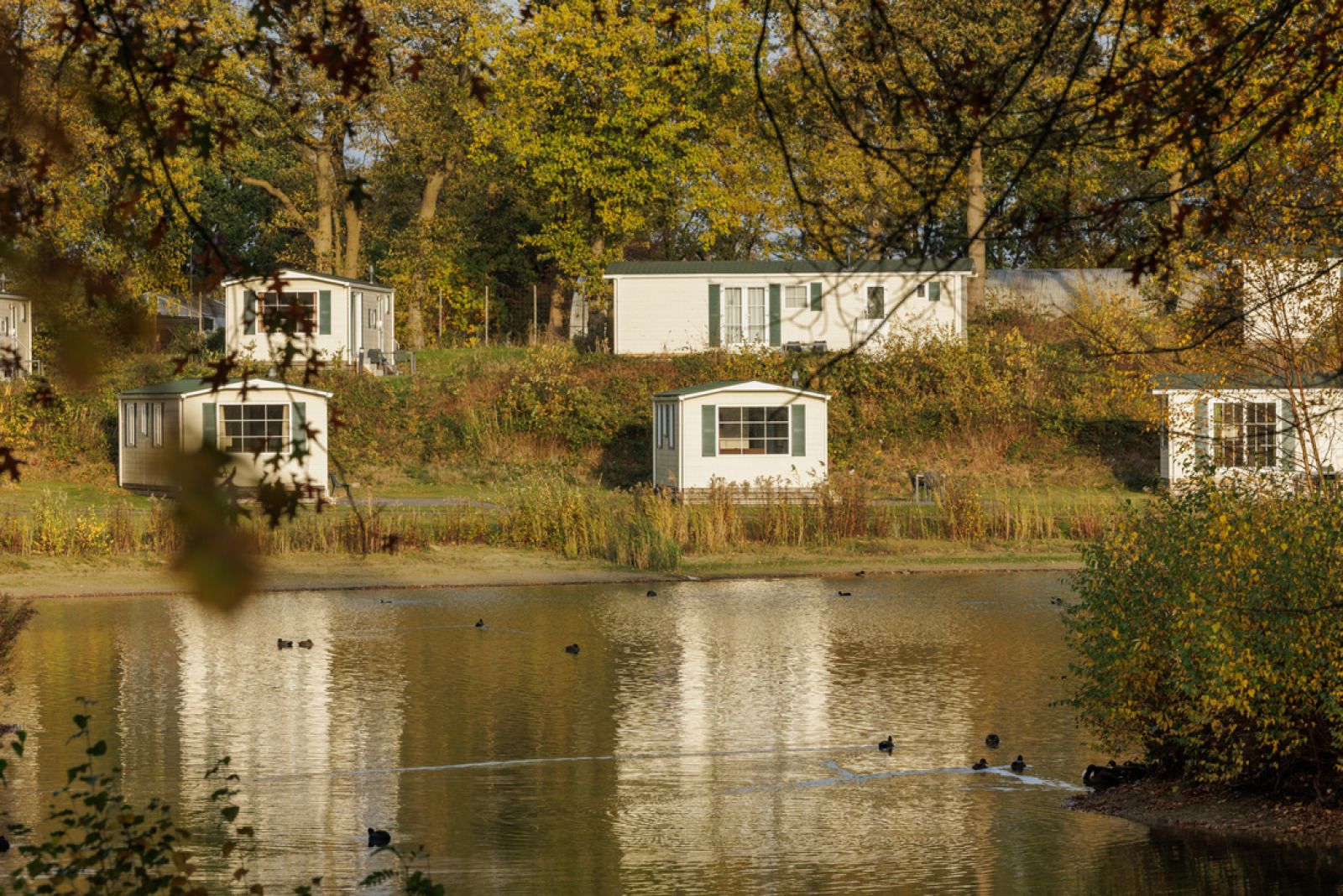 Verblijf 181139 - Vakantiewoning Noord Drenthe - Chalet HU5