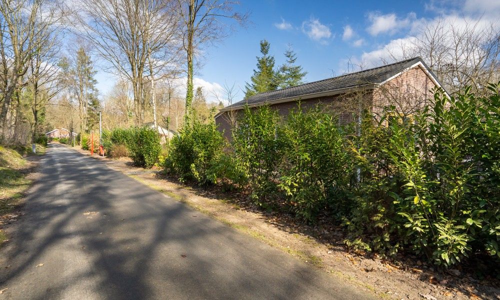 Unterkunft 181156 - Ferienhaus Noord Drenthe - Vogelzang 