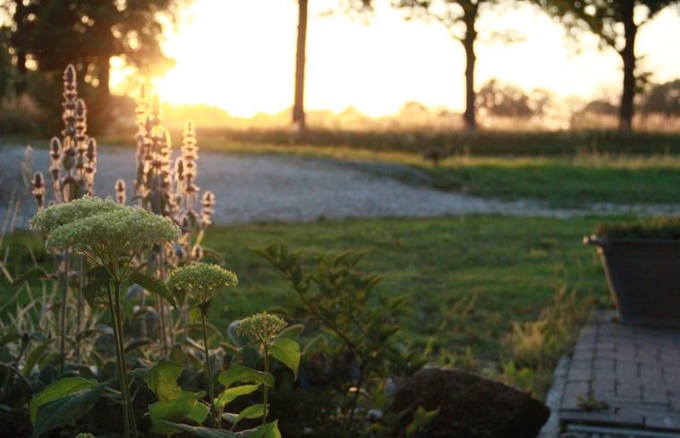 Unterkunft 182722 - Ferienhaus Noord Drenthe - Vakantiehuis in Tynaarlo
