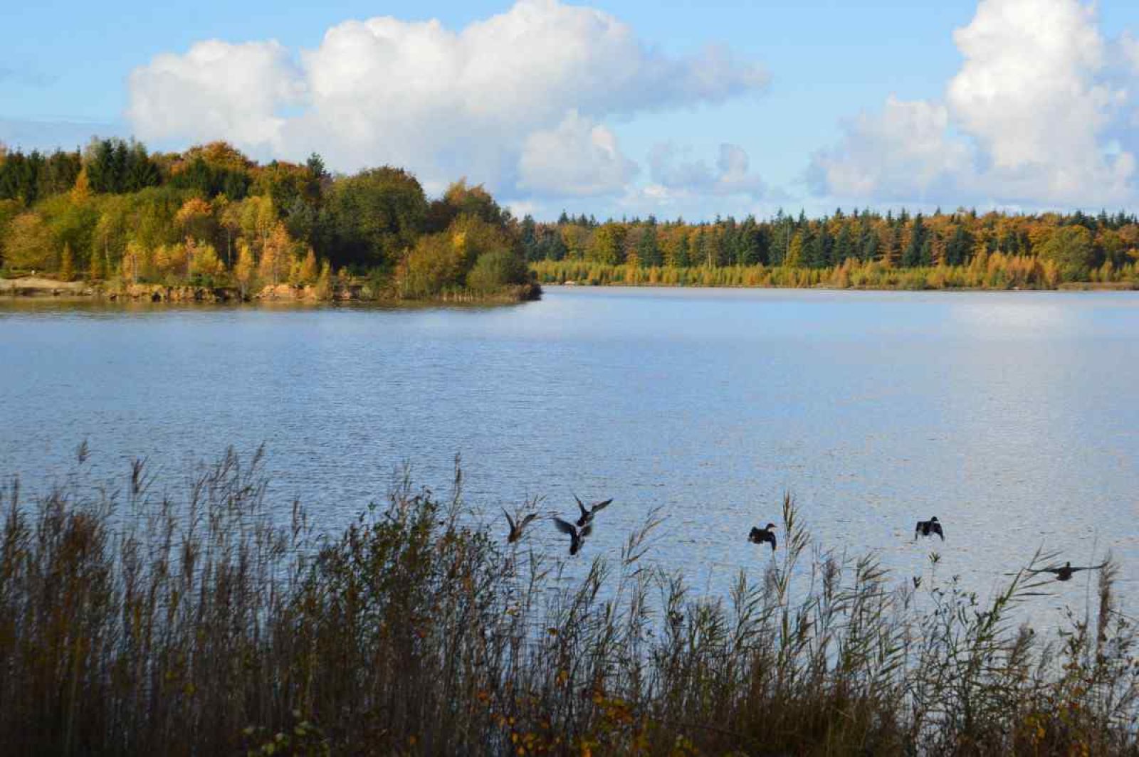 Eingangshalle des Ferienhauses DG705 Ellertshaar Drenthe mit stilvoller Dekoration.