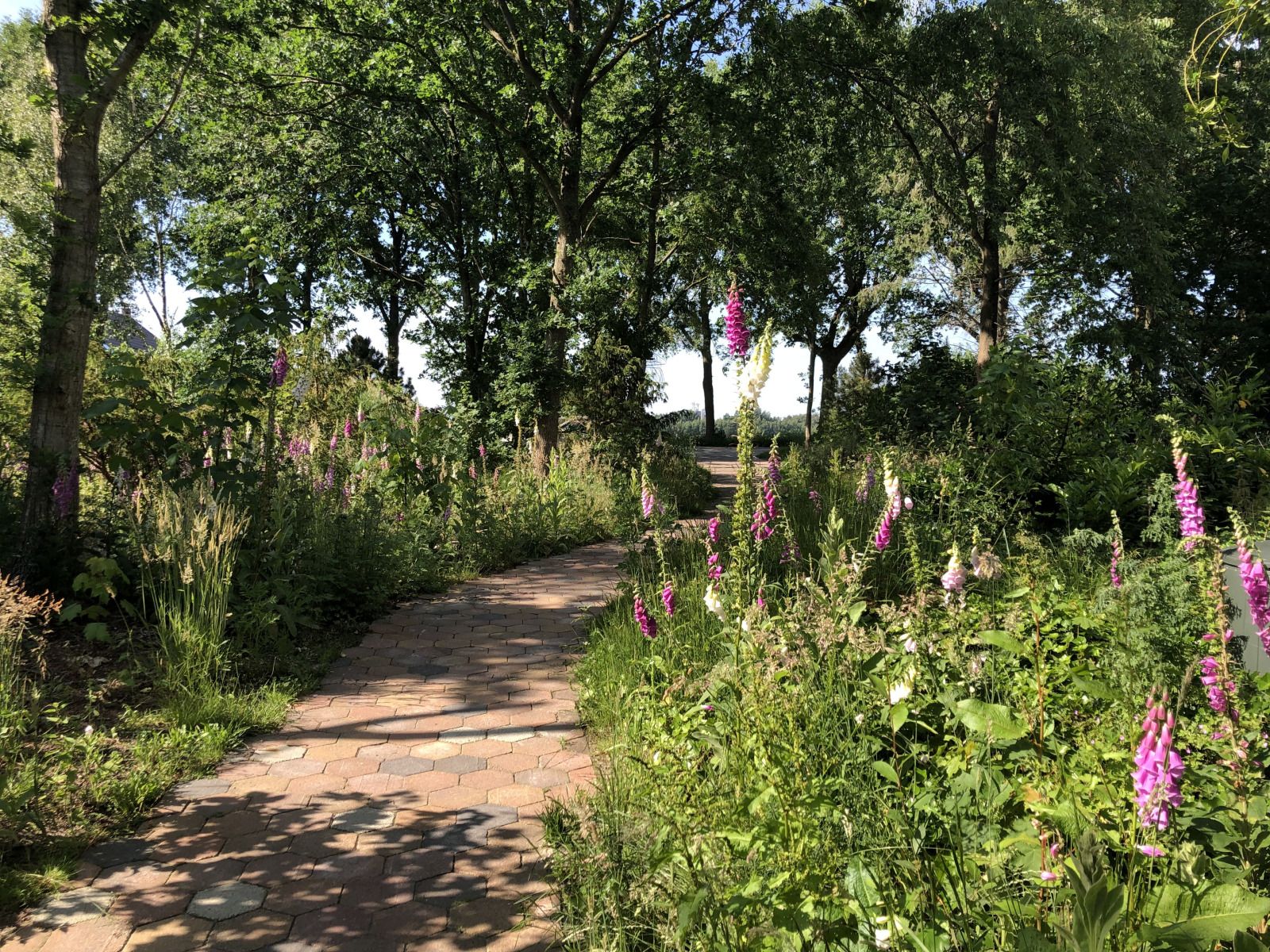 Guest house 183231 - Holiday property Noord Drenthe - DG2149