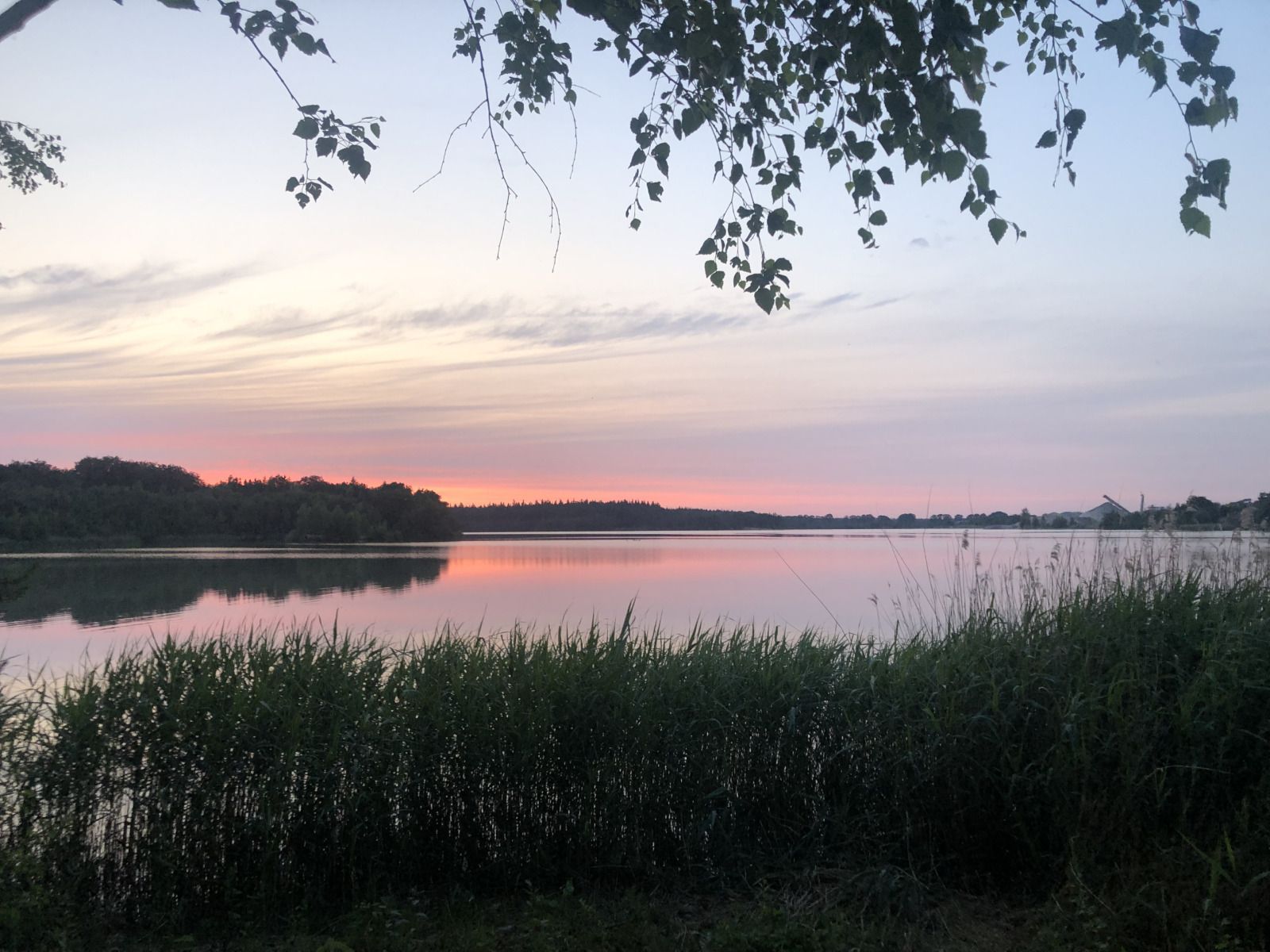 Guest house 183231 - Holiday property Noord Drenthe - DG2149