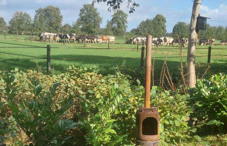 Verblijf 183301 - Vakantiewoning Noord Drenthe - Huisje in Lieveren