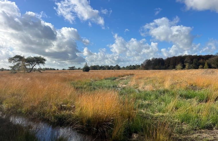 Uitgestrekte velden rond Vakantiehuis in Veenhuizen, geniet van de natuur in Noord Drenthe.