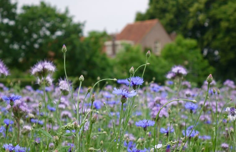 Verblijf 184112 - Vakantiewoning Noord Drenthe - Huisje in Veenhuizen