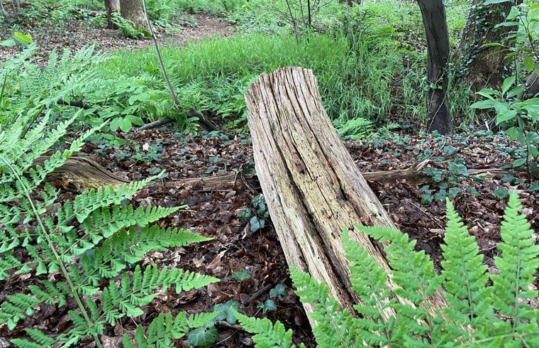 Guest house 184113 - Holiday property Noord Drenthe - Huisje in Veenhuizen