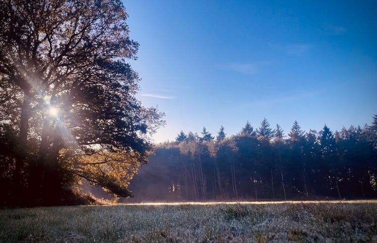 Guest house 184113 - Holiday property Noord Drenthe - Huisje in Veenhuizen