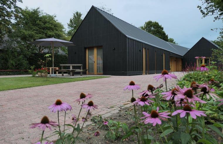 Huisje in Bunne, vakantiehuis in Noord Drenthe, Drenthe met moderne veranda en bloeiende tuin, ideaal voor natuurliefhebbers.
