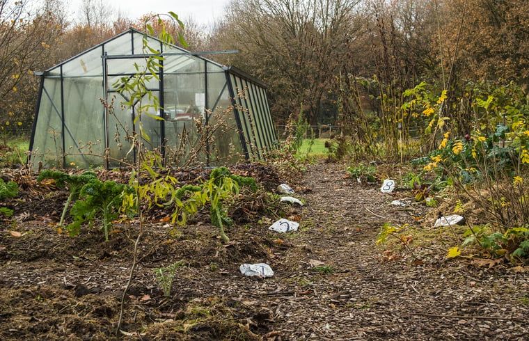Geniet van de tuinen van Vakantiehuis in Drouwen, Noord Drenthe, waar je ontspannen kunt tuinieren in de prachtige natuur van Drenthe.
