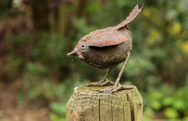 Ontspan met huiselijke gezelligheid in Vakantiehuis in Drouwen, Noord Drenthe, omringd door natuur en dieren voor een unieke ervaring.