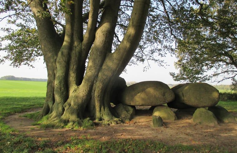 Verblijf 184401 - Vakantiewoning Noord Drenthe - Vakantiehuis in Drouwen