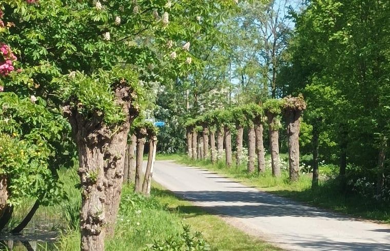 Omgeving van Huisje in Matsloot, vakantiehuis in het groene Noord Drenthe, Drenthe.