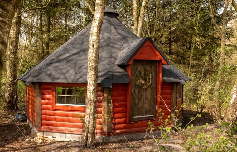 Cottage in Drouwenerveen, charming vacation home in the forests of North Drenthe, Drenthe.