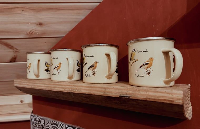 Decorative mugs in Cottage in Drouwenerveen, vacation home in North Drenthe, Drenthe.