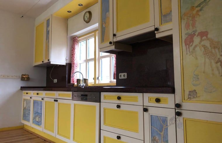 Einzigartige Kueche des Ferienhauses in Altena, bunt und gemuetlich in Nord-Drenthe, Drenthe.