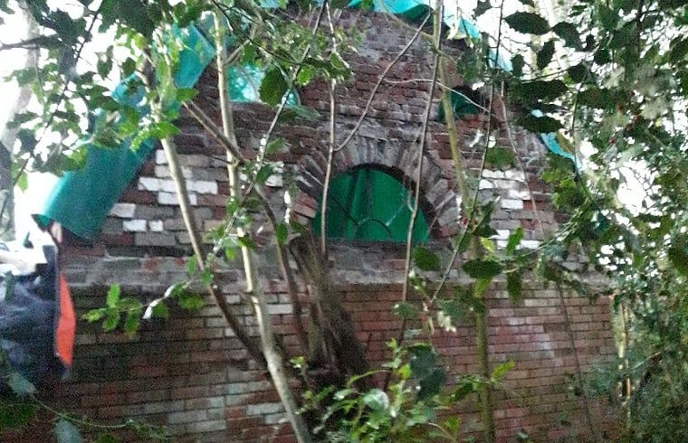 Aussenbereich des Ferienhauses in Altena, umgeben von ueppiger Natur in Nord-Drenthe, Drenthe.