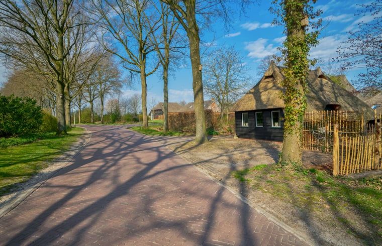 Unterkunft 185901 - Ferienhaus Noord Drenthe - Huisje in Zeijen
