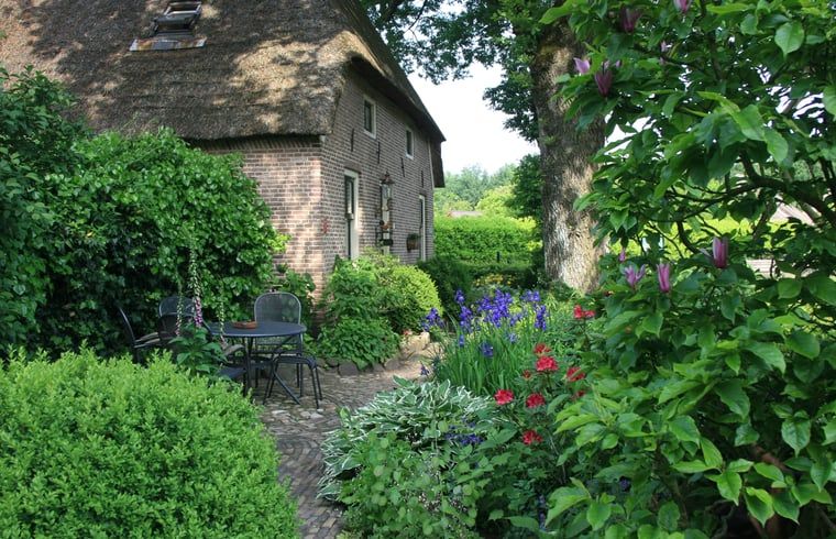Vakantiehuis in Aalden, gezellige tuin met zitje bij vakantiehuis in Zuidoost Drenthe, Drenthe.