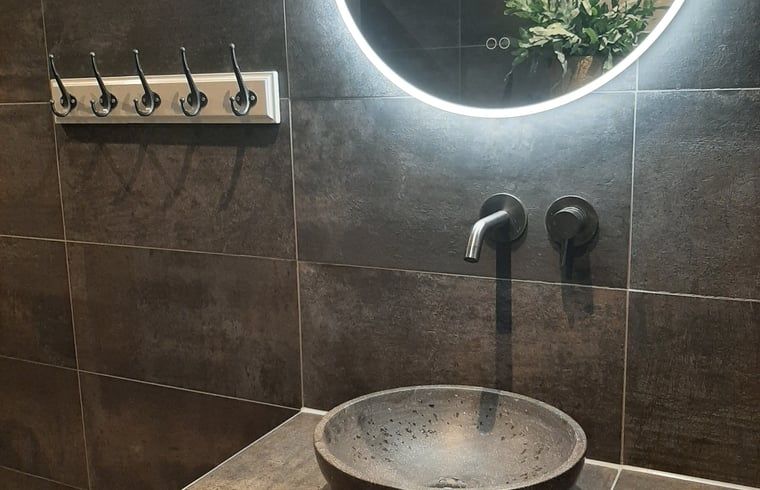 Vakantiehuis in Aalden, moderne badkamer met stijlvolle wastafel in Zuidoost Drenthe, Drenthe.