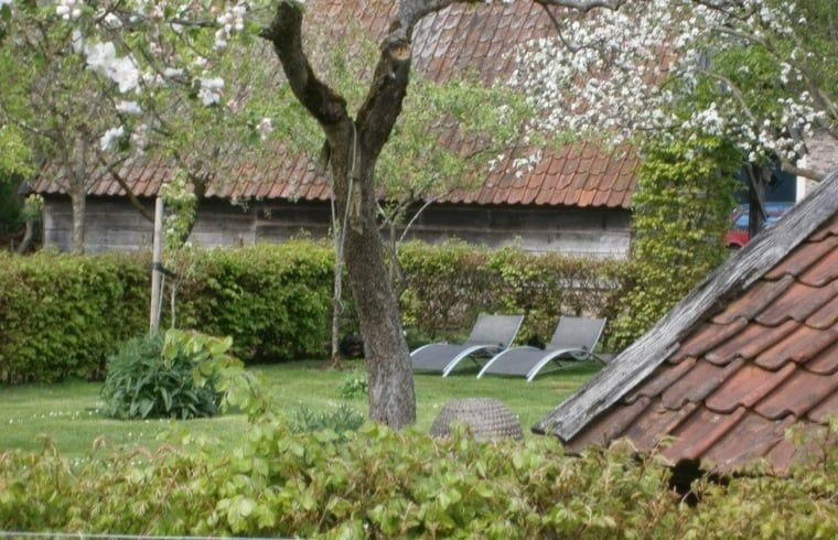Vakantiehuis in Aalden, ligstoelen in bloeiende tuin van vakantiehuis Zuidoost Drenthe, Drenthe.