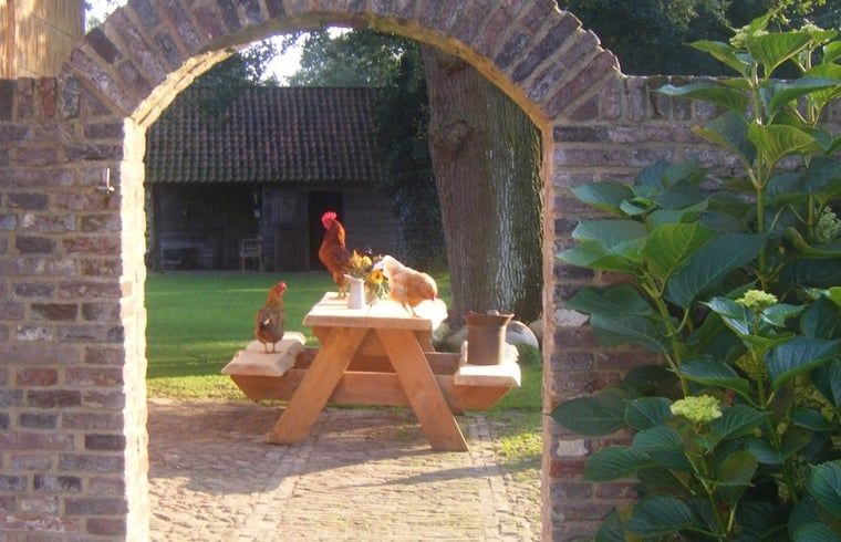 Vakantiehuis in Aalden, boog met uitzicht op picknicktafel en kippen in Zuidoost Drenthe, Drenthe.