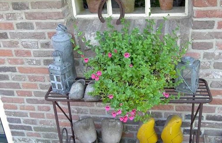 Vakantiehuis in Aalden, decoratieve planten en klompen bij ingang vakantiehuis Zuidoost Drenthe, Drenthe.